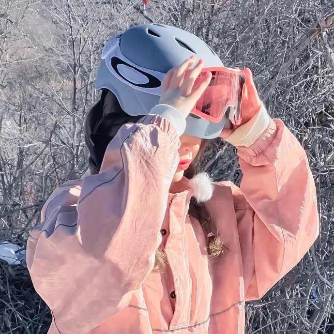 登陆月球